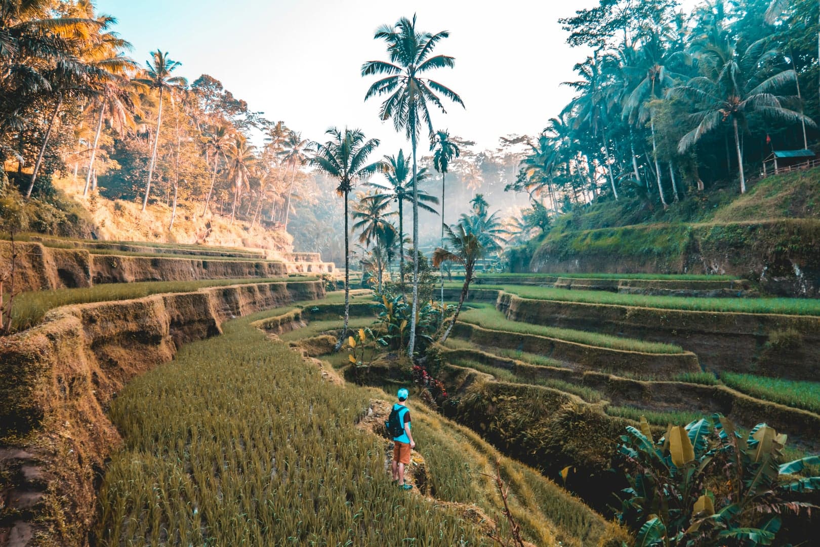 The Ultimate Bali Travel Guide for 2025